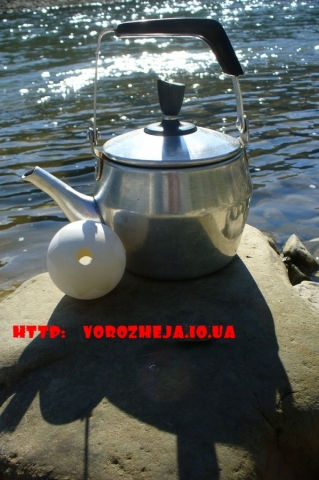 "Любисткова видутка"