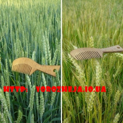 Обряды