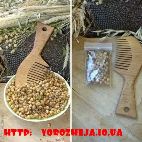 Обряды