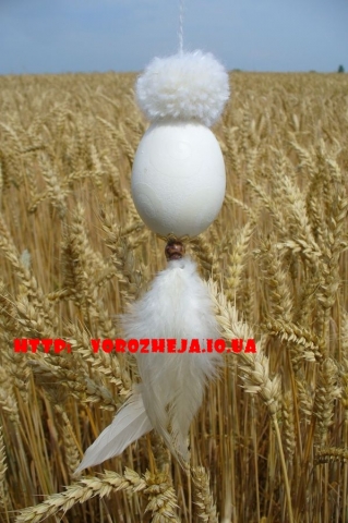 Обряды