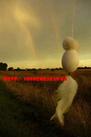 Обряды