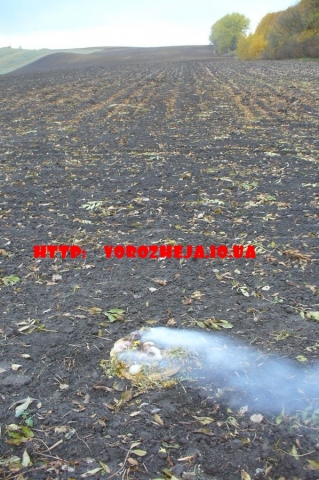 Обряды