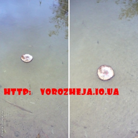 Обряды