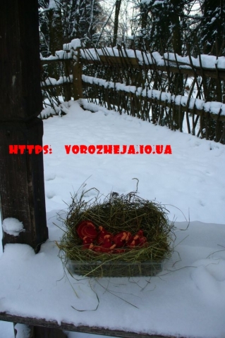 Лето 2017
