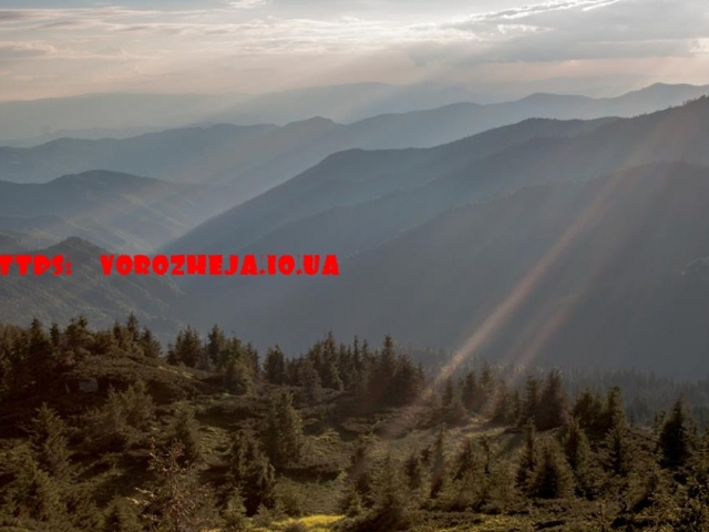 Места Силы