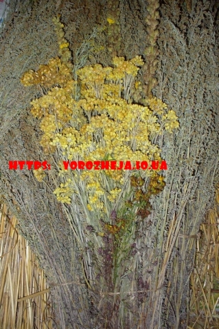 Снять негативные воздействия