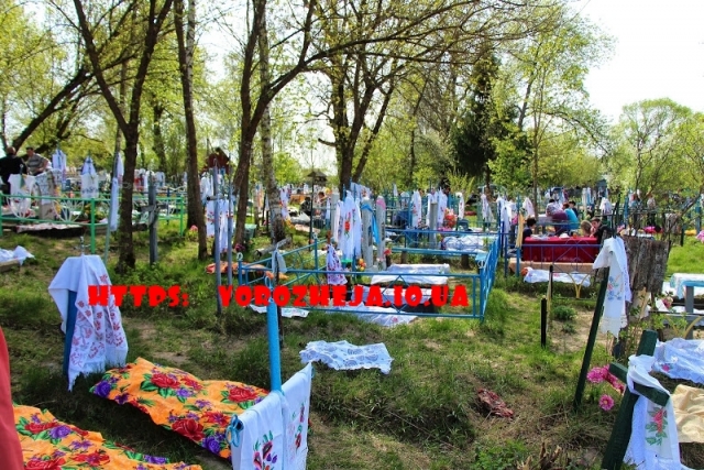 Работа с Родом