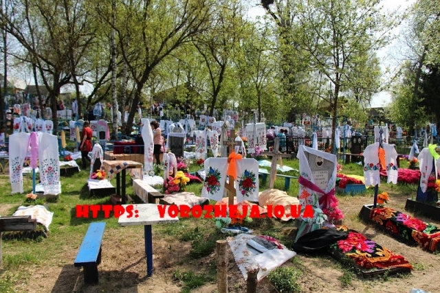 Работа с Родом