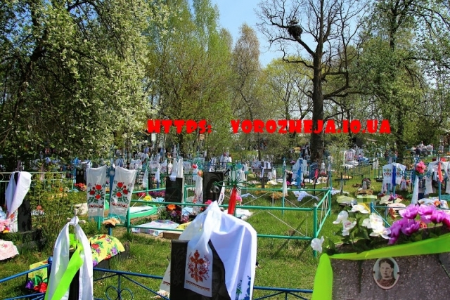 Работа с Родом