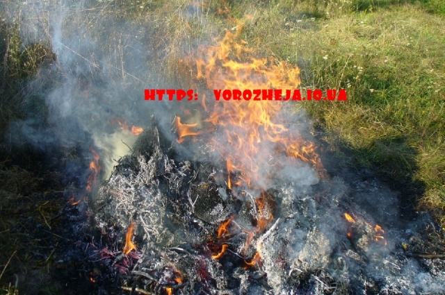 Рождественский цикл 2018-2019