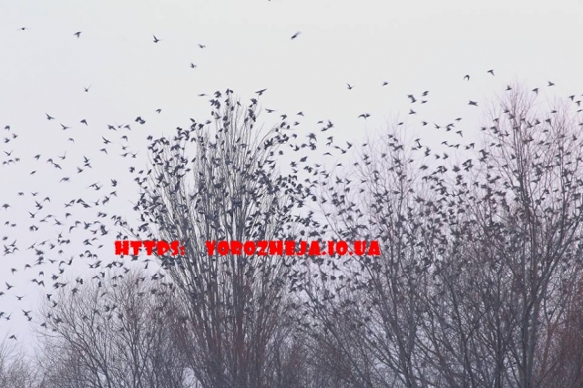 Пасха-2018