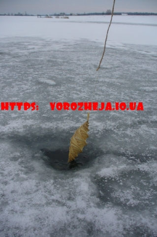 Вертун